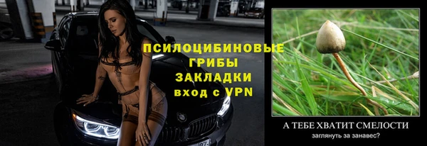а пвп мука Алзамай