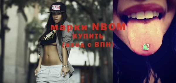 хмурый Алексин