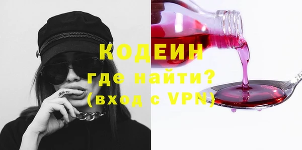 хмурый Алексин