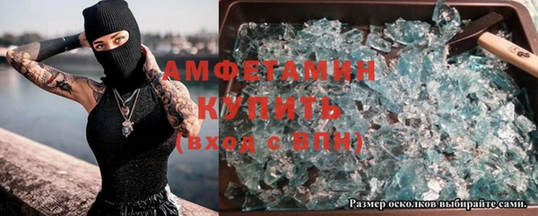 хмурый Алексин