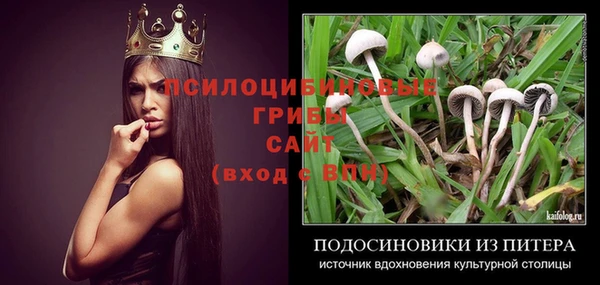 ешки Алексеевка