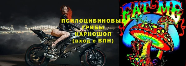 ешки Алексеевка