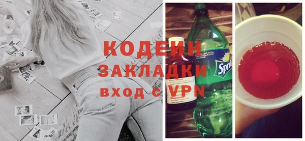 хмурый Алексин