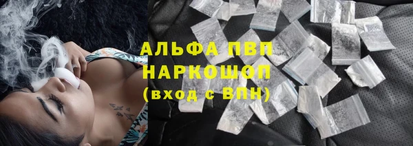хмурый Алексин