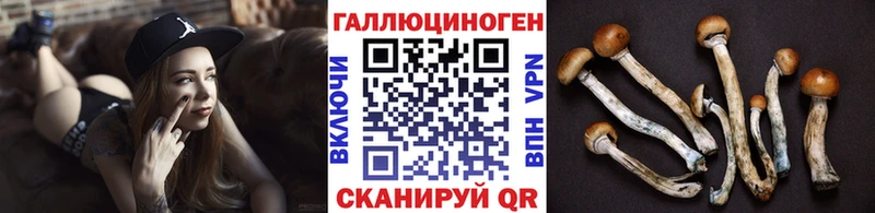 Галлюциногенные грибы MAGIC MUSHROOMS  сколько стоит  Спасск 